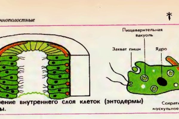 Kraken зеркало kr2web in