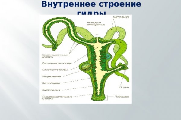 Браузер кракен